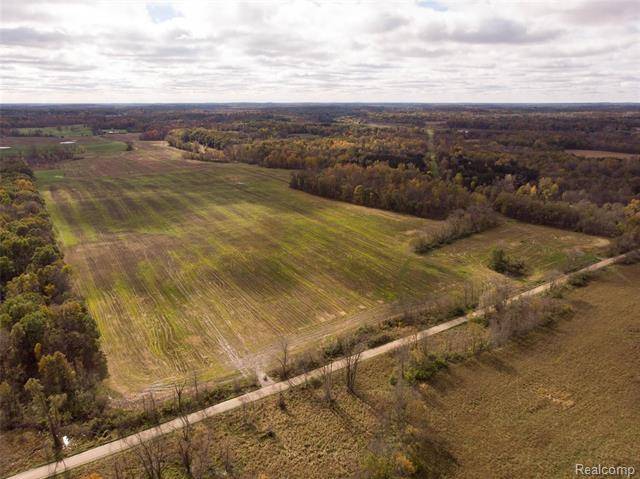 20 DWYER Road, Hartland Twp, MI 48855