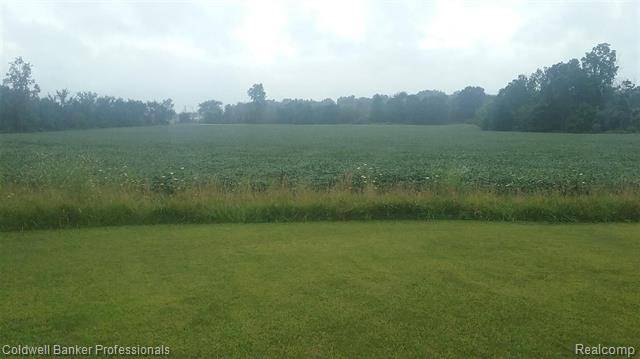 V/L MILLVILLE Road, Mayfield Twp, MI 48446