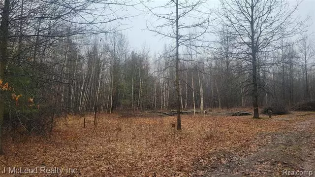 18925 W TOWNLINE Road, Brant Twp, MI 48655