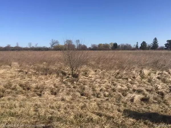 vacant land parcel6 SERENITY Court, Riley Twp, MI 48041