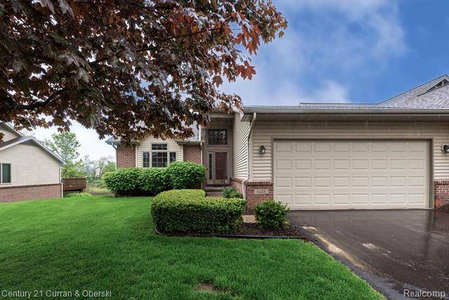 1223 MOUNTAIN ASH Drive, Brighton, MI 48116