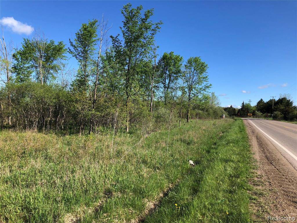 Imlay Twp, MI 48444,Parcel D GRAHAM Road