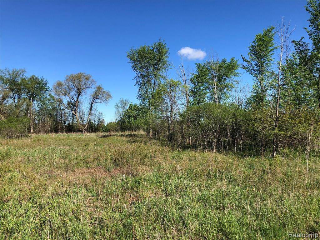 Parcel D GRAHAM Road, Imlay Twp, MI 48444