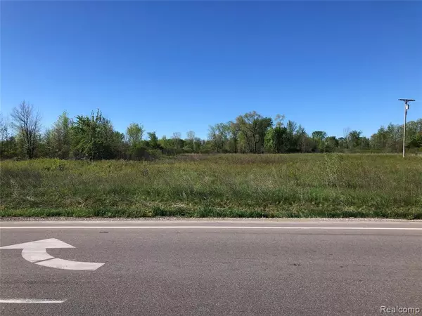 Imlay Twp, MI 48444,Parcel G IMLAY CITY Road