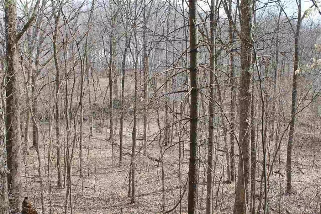 Chesaning Twp, MI 48649,Havana V/L Road