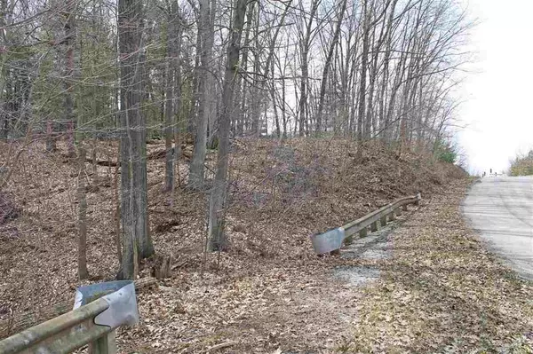 Chesaning Twp, MI 48649,Havana V/L Road