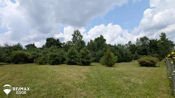 Elba Twp, MI 48446,0 Maple Leaf Road