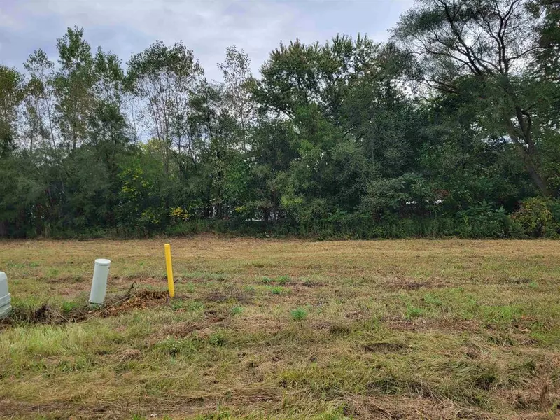 11457 Hidden Oaks Drive, Vienna Twp, MI 48420