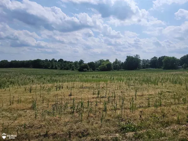 Forest Twp, MI 48463,0 Olds Road