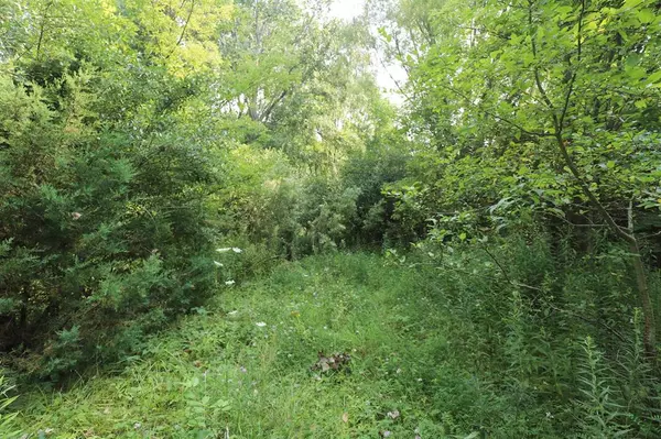 Mt. Morris Twp, MI 48433,Luce Road