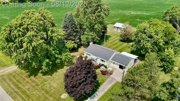 Chesaning Twp, MI 48616,12490 W Brady Road