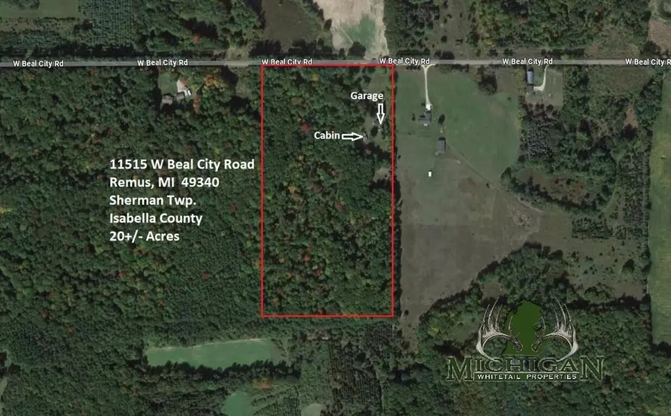 11515 W Beal City Road, Sherman Twp, MI 49340