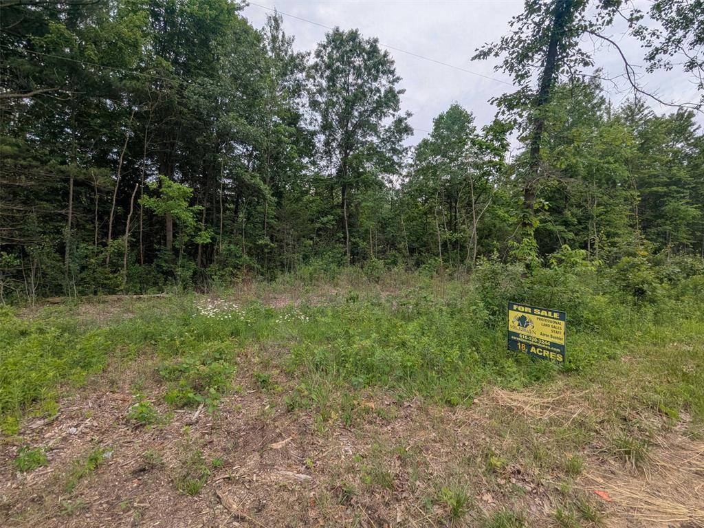 Lee Twp, MI 49450,V/L 5800 108TH AVE