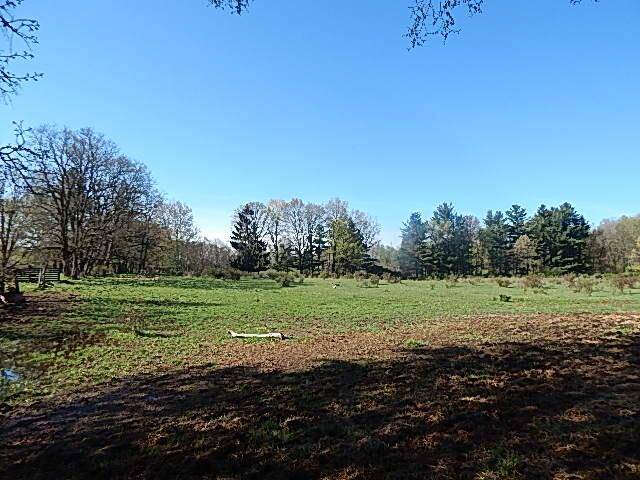 Addison Twp, MI 48367,565 W Leonard Road