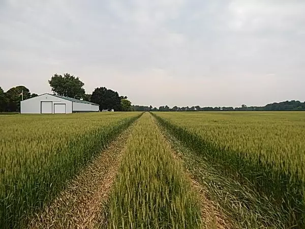 Whiteford Twp, MI 49267,6200 Yankee Road