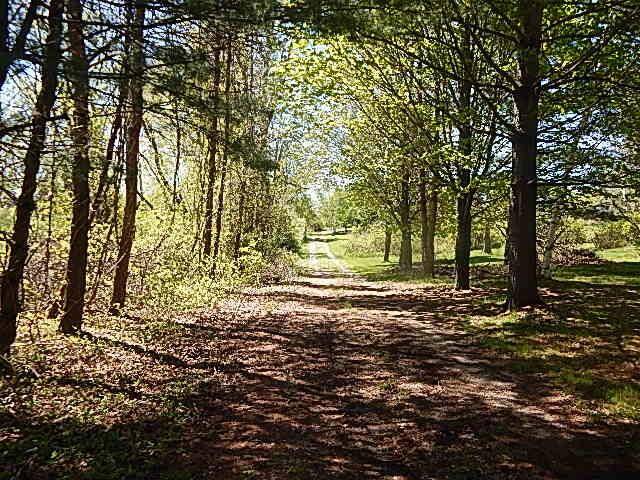 Wheatland Twp, MI 49249,11480 N North Adams Road