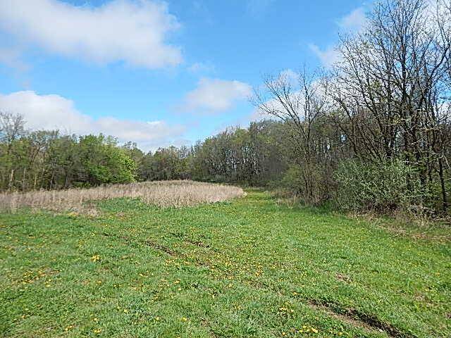 Moscow Twp, MI 49249,7200 Combs Road