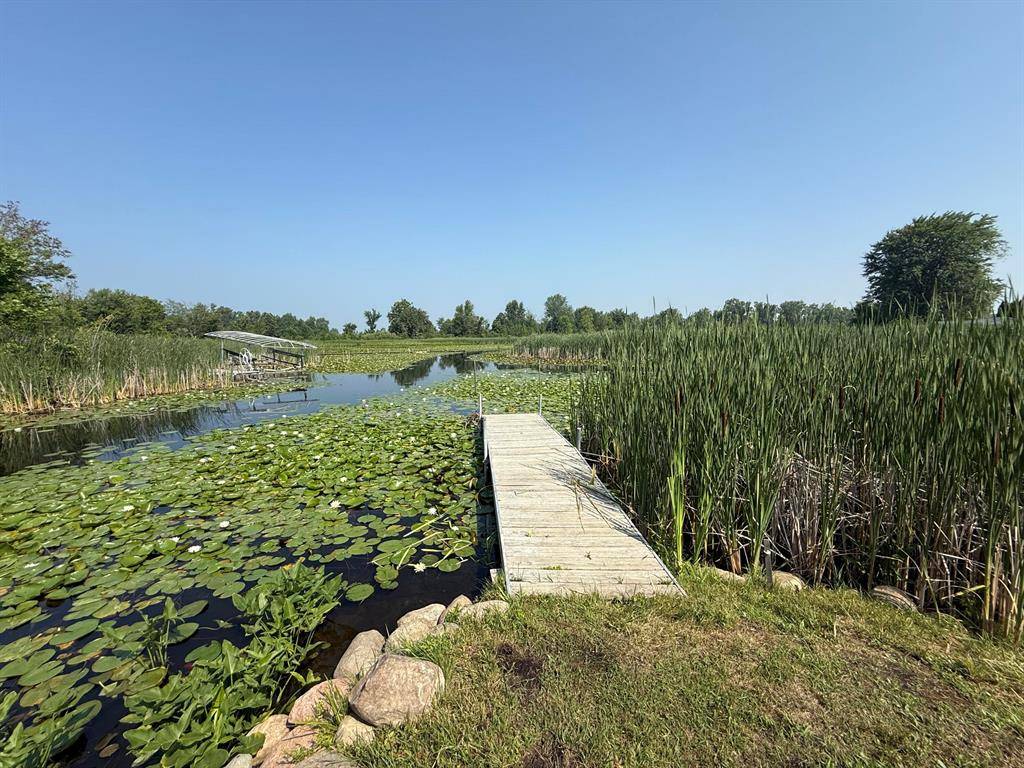 -- Leaf Lane, Kinderhook Twp, MI 49036