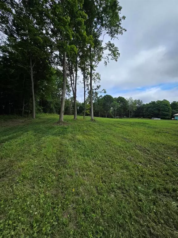 Hillsdale, MI 49242,97 W Hallett Street
