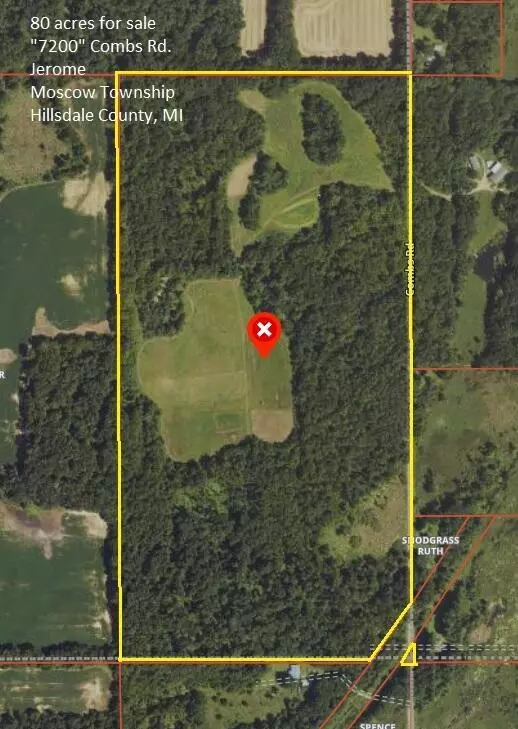 Moscow Twp, MI 49249,7000 Combs Road
