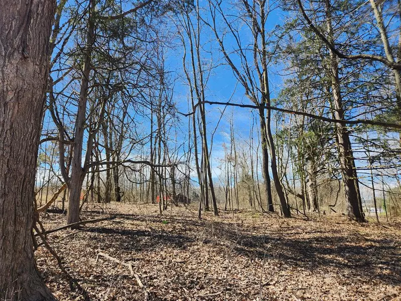 13505 Island Lake Road, Dexter Twp, MI 48118
