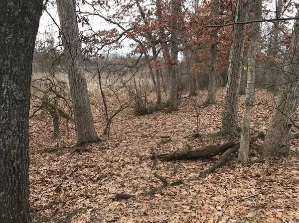 10305 Knight Road, Grass Lake Twp, MI 49240