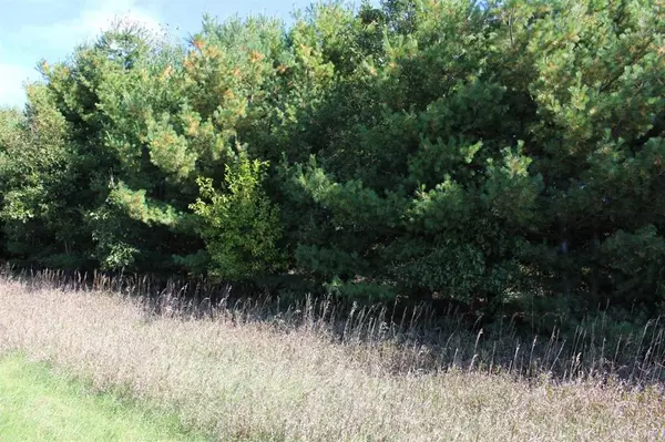 Grass Lake Twp, MI 49240,0 Wolf Lake C Road