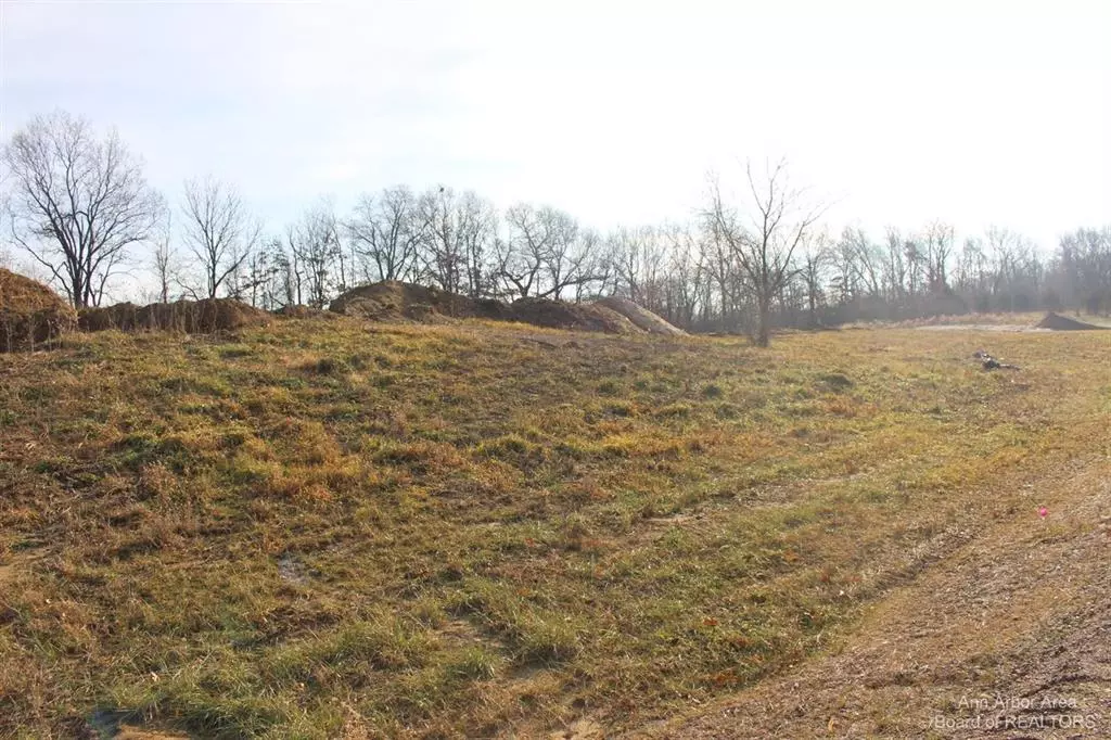 Liberty Twp-jackson, MI 49201,0 Lindsey Unit 22 Drive