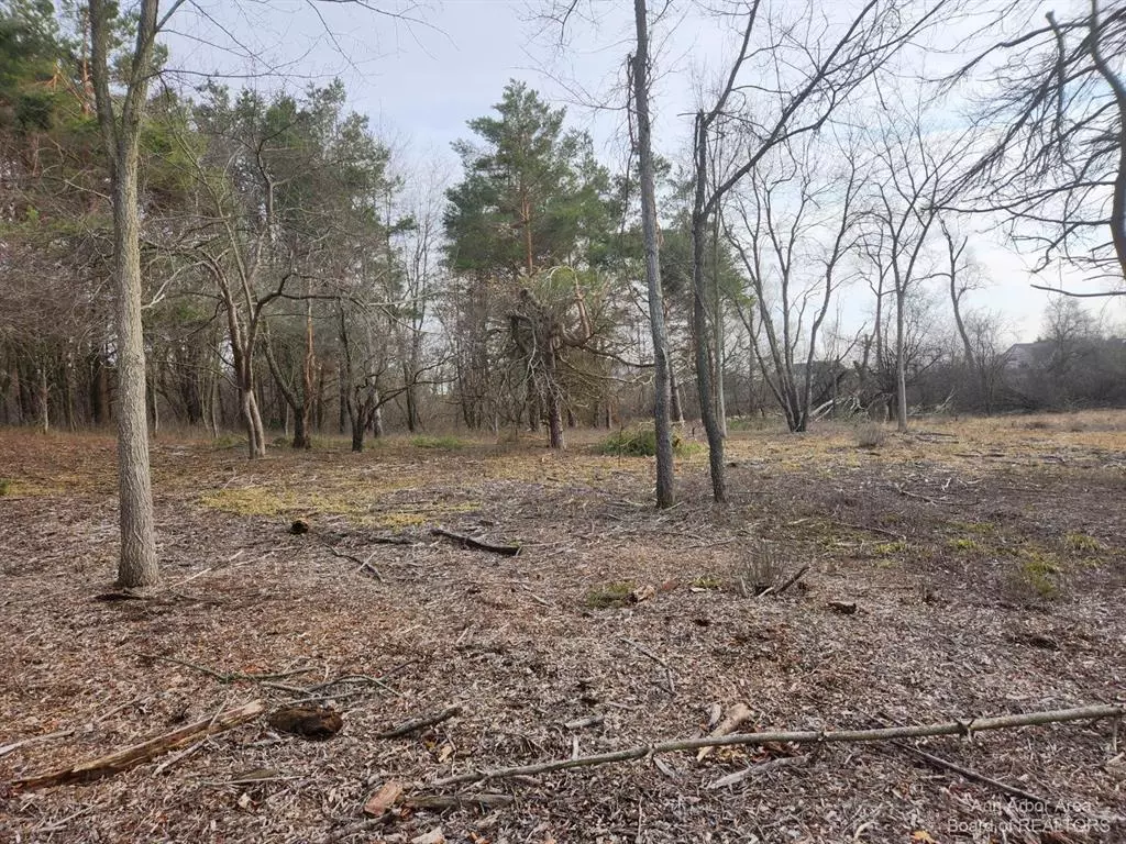 Pittsfield Twp, MI 48176,7036 Wapiti Way