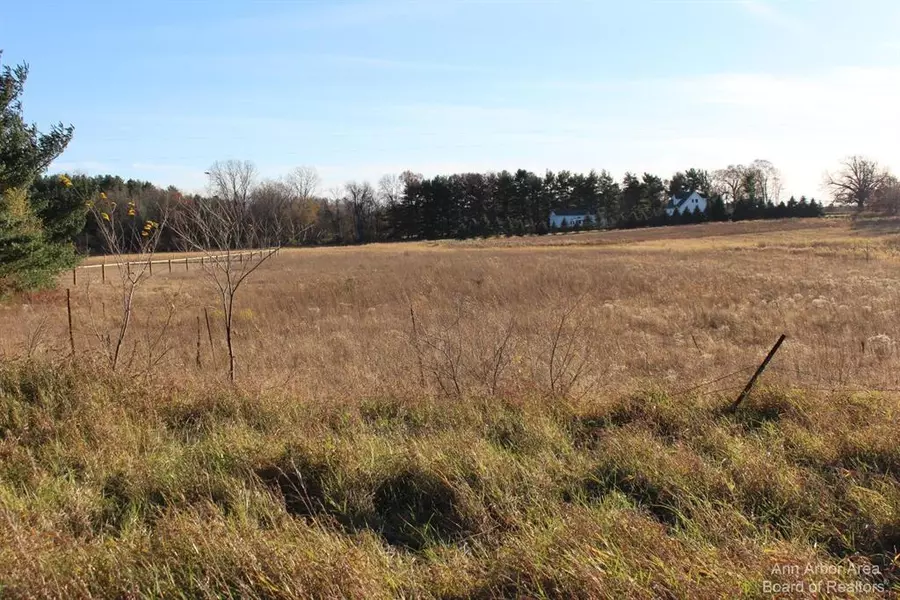0 Curtis Road, Grass Lake Twp, MI 49240