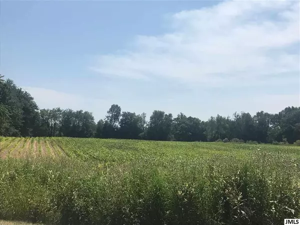 Rives Twp, MI 49277,VL RIVES EATON RD