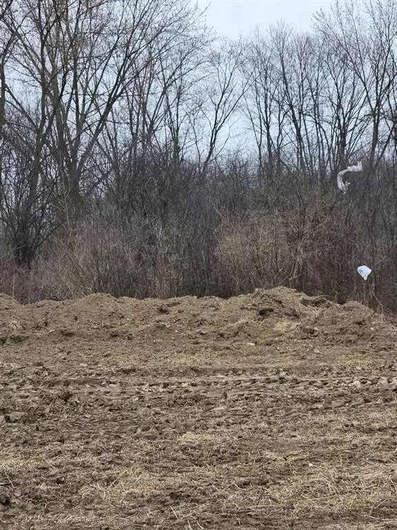 Spring Arbor Twp, MI 49201,VL Spring Arbor Road