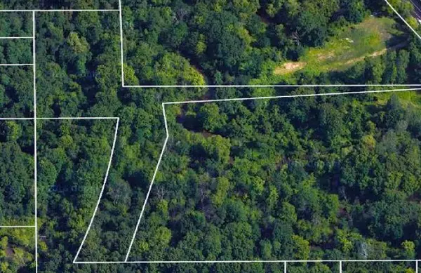 Emmett Twp, MI 49014,V/L Beadle Lake Road