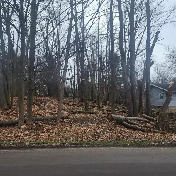 Blackman Twp, MI 49201,Burt Ave