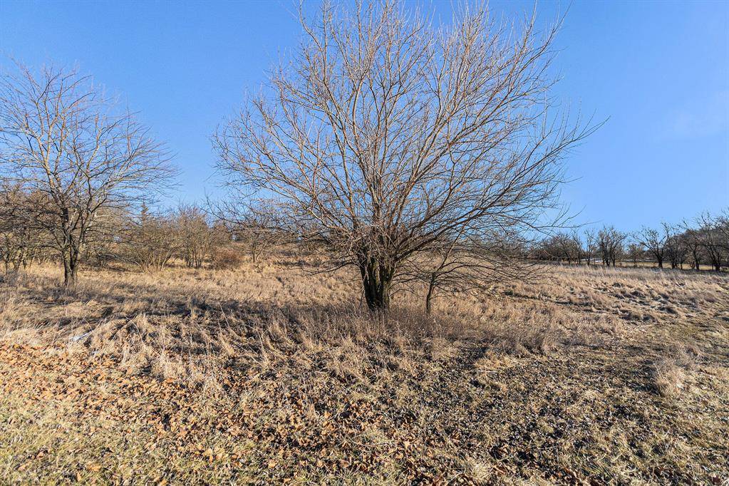 Cambridge Twp, MI 49230,10076 Emerald Drive