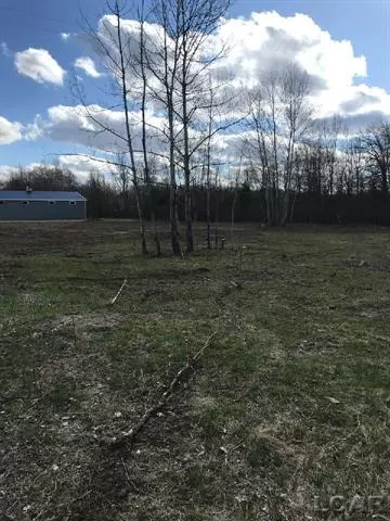 Woodstock Twp, MI 49253,7000 Devils Lake Hwy Blk-Lot 1