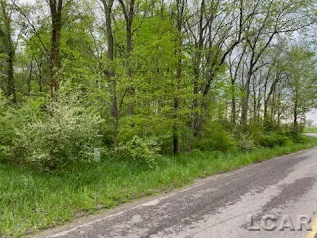 8000 BLK LOT 10 Stephenson Road, Cambridge Twp, MI 49265