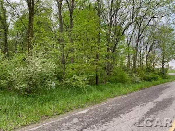 8000 BLK LOT 10 Stephenson Road, Cambridge Twp, MI 49265