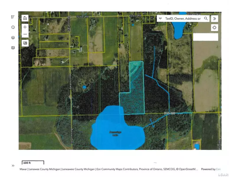 6000 Tomer Road, Dover Twp, MI 49235