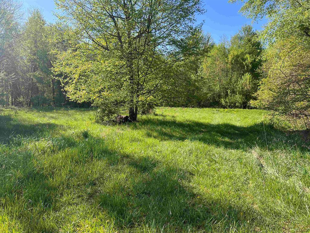 Matteson Twp, MI 49089,Langwell Road
