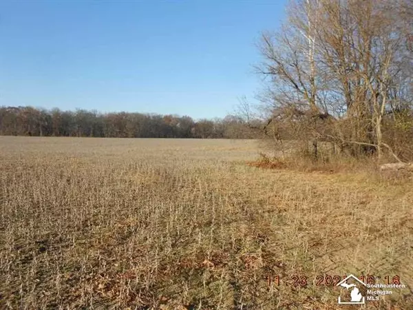 Summerfield Twp, MI 49270,16350 W Ida Rd.