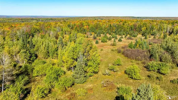 Baraga Twp, MI 49958,00 Mansfeldt Road