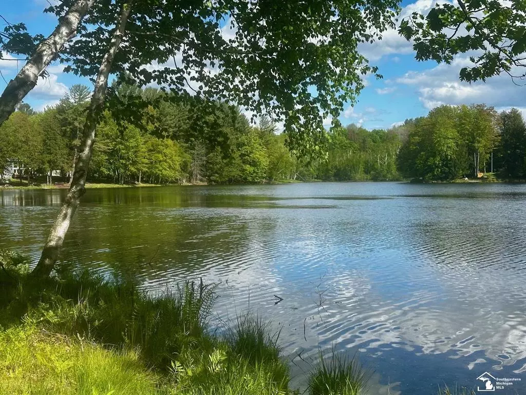 Evart Twp, MI 49631,9846 Miramichi Drive