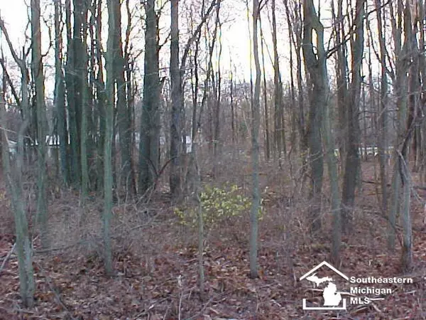 Lot 18/19 Onway Drive, Whiteford Twp, MI 49267
