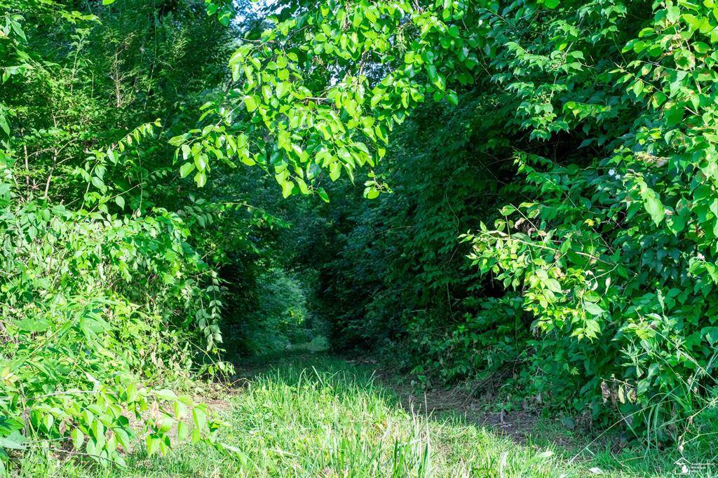 Exeter Twp, MI 48117,Parcel E Timbers Road