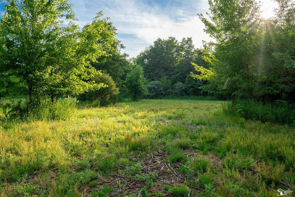 Parcel B Timbers Road, Exeter Twp, MI 48117