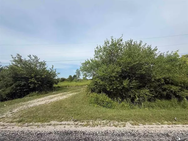 0 Wilcox Road, Dundee Twp, MI 48131