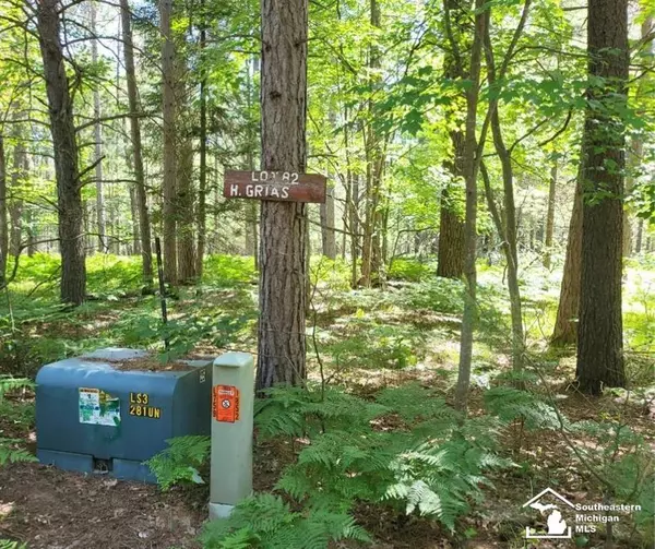 Lot 82 Evelyn Avenue, Grayling Twp, MI 49738