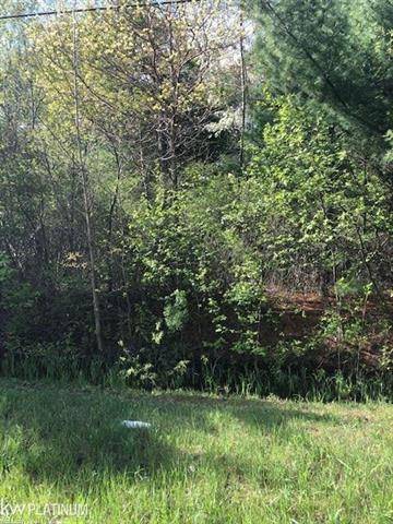 00 LAPEER RD PAR D & E, Kimball Twp, MI 48074