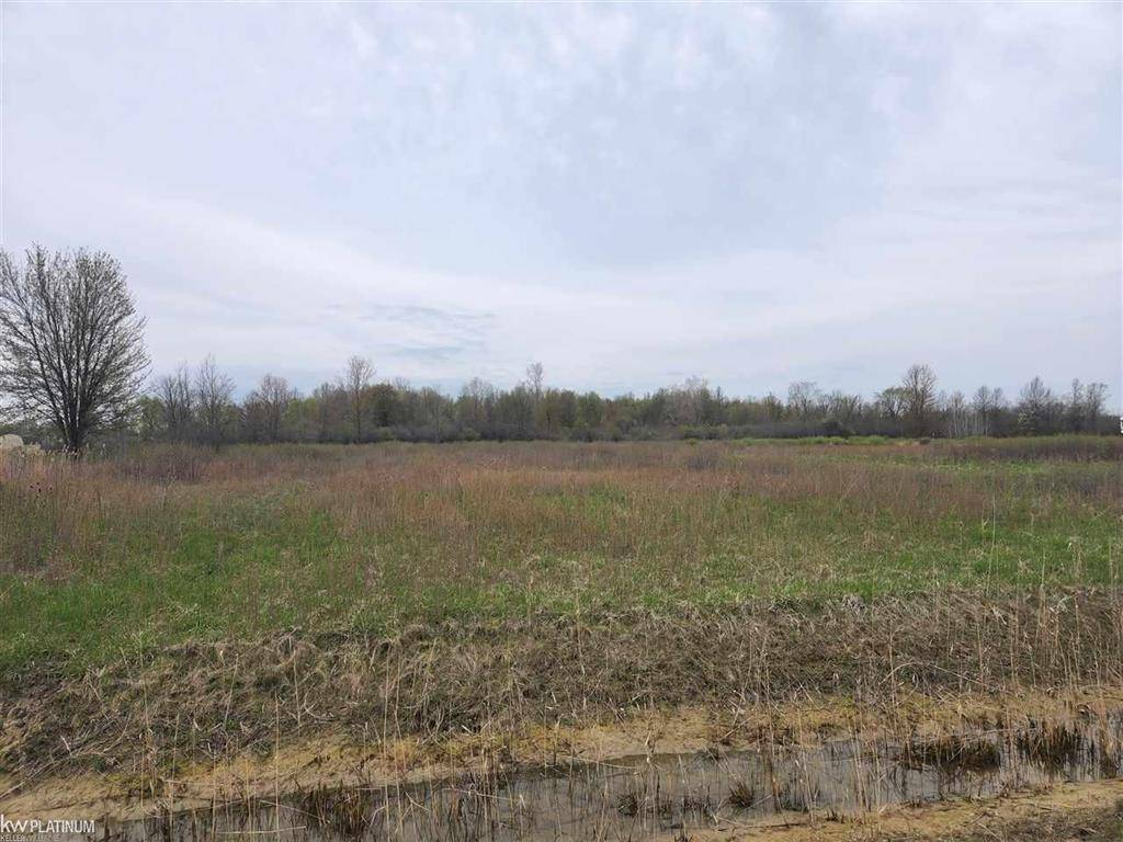 8145 Arnold Road, Ira Twp, MI 48023